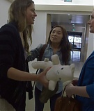TheLionsMouthOpens_0058.jpg