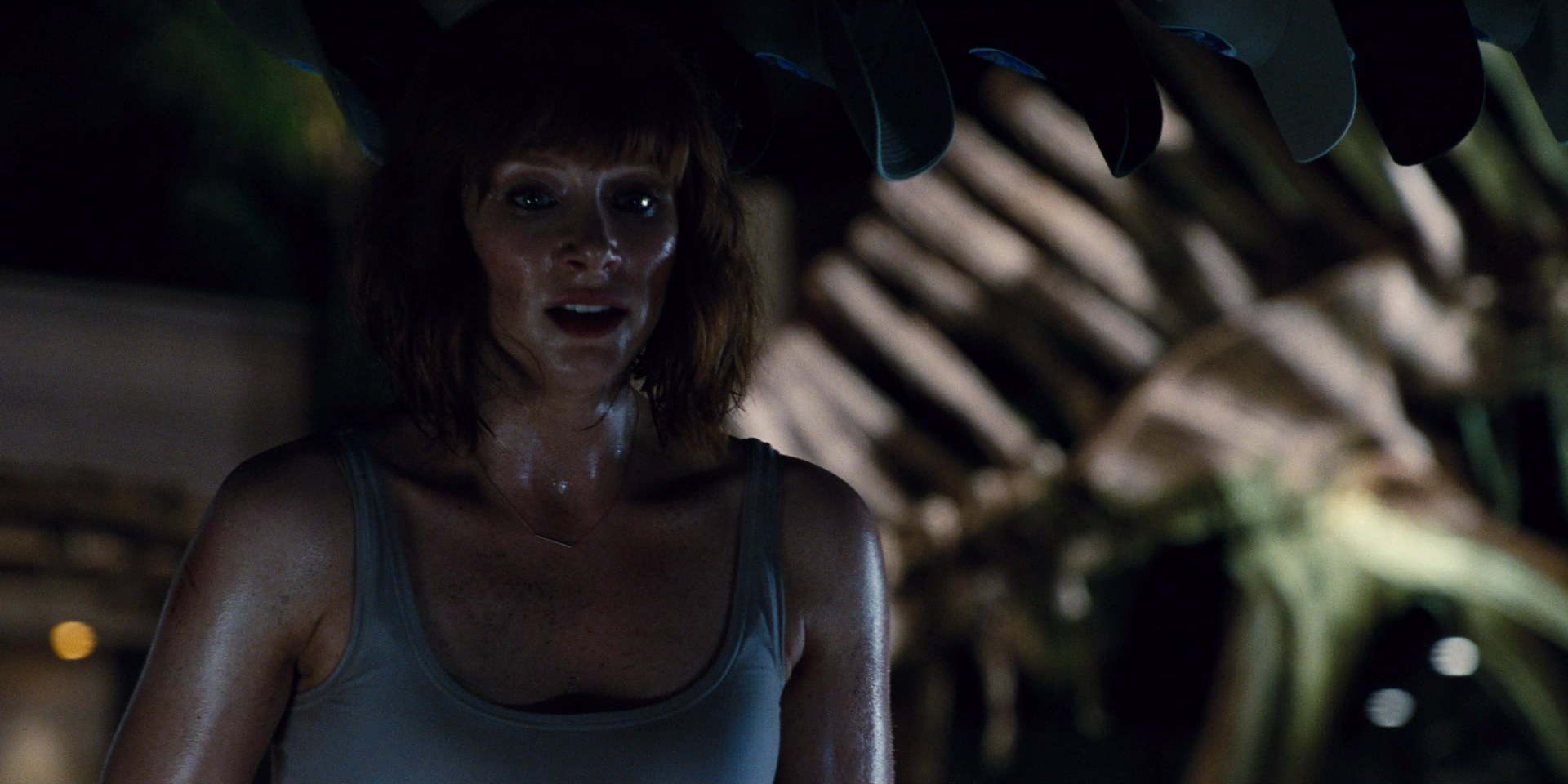 00972.jpg