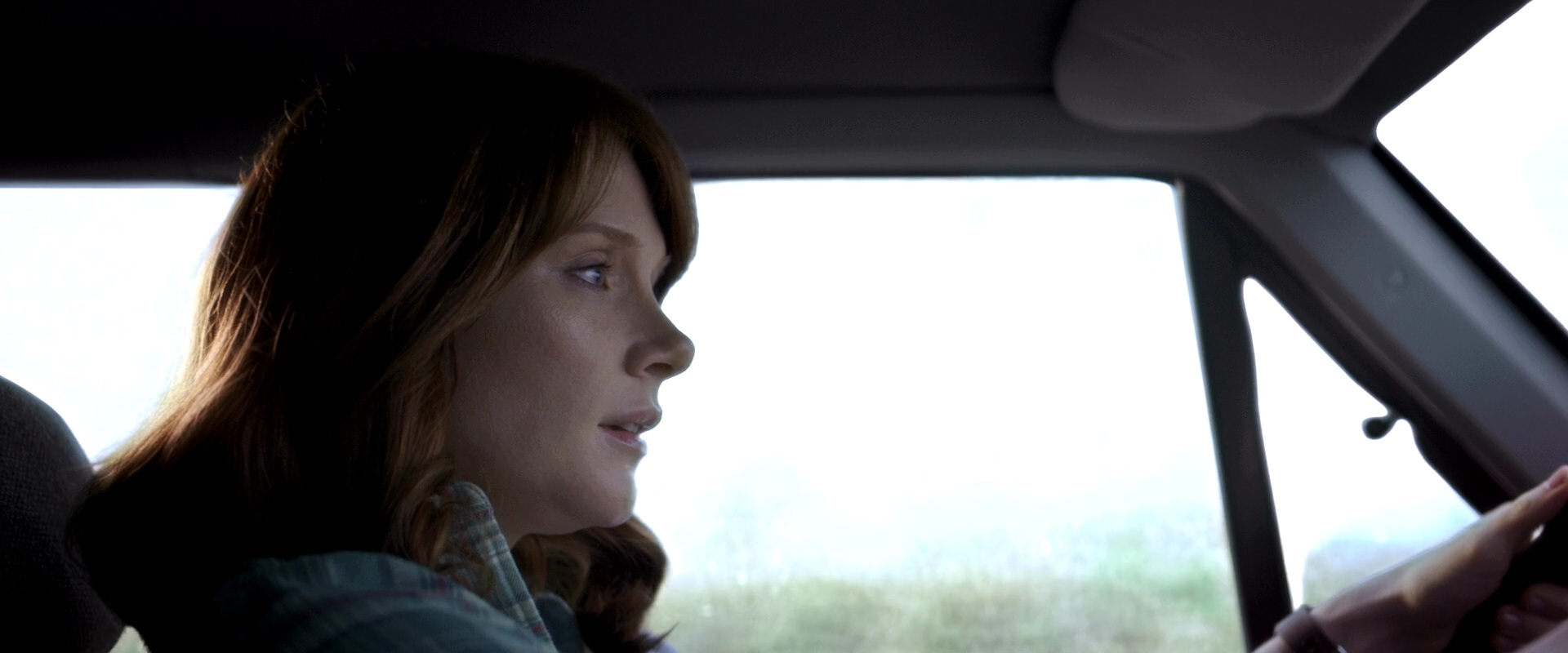 PetesDragon_Captures_0388.jpg