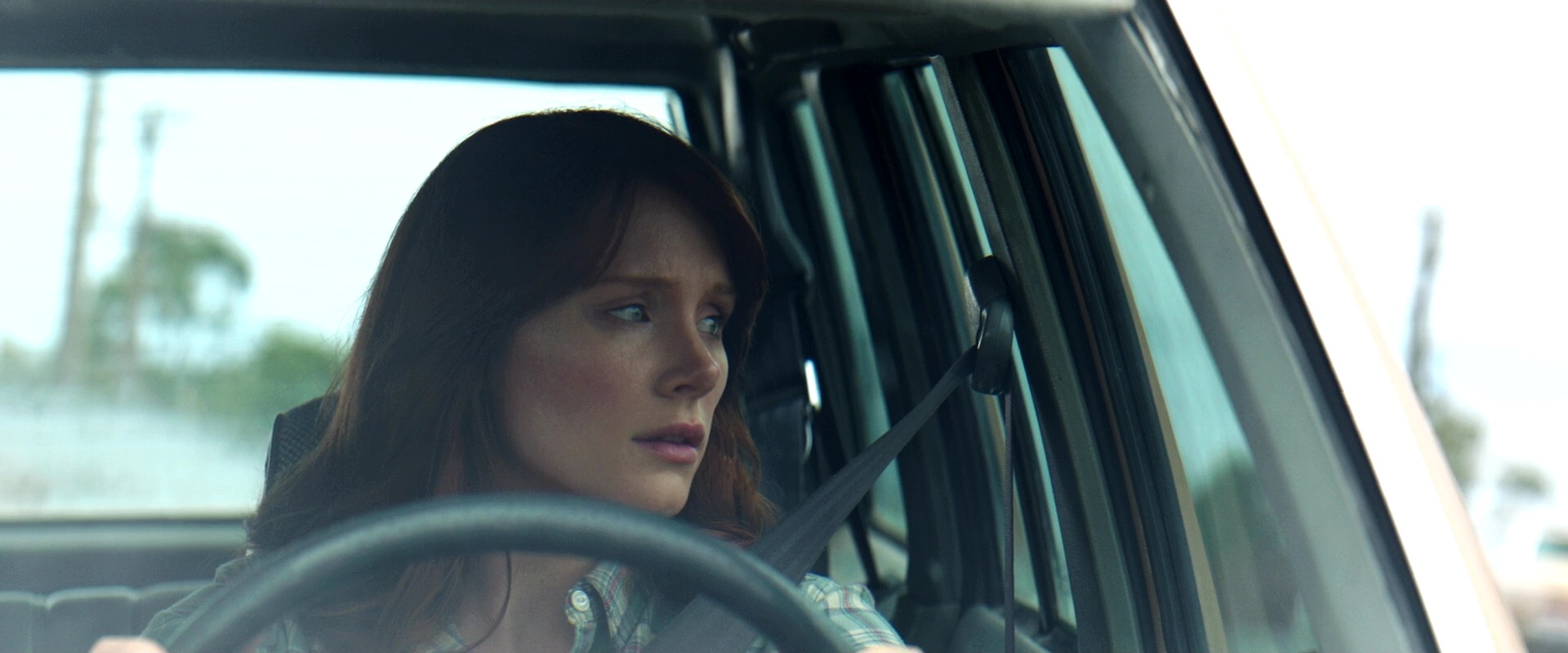 PetesDragon_Captures_0395.jpg