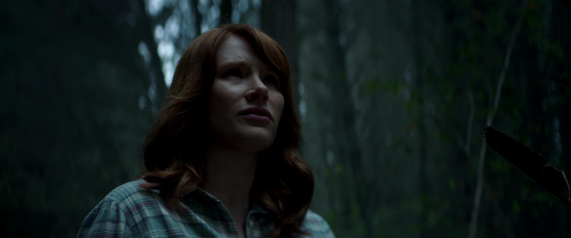 PetesDragon_Captures_0422.jpg