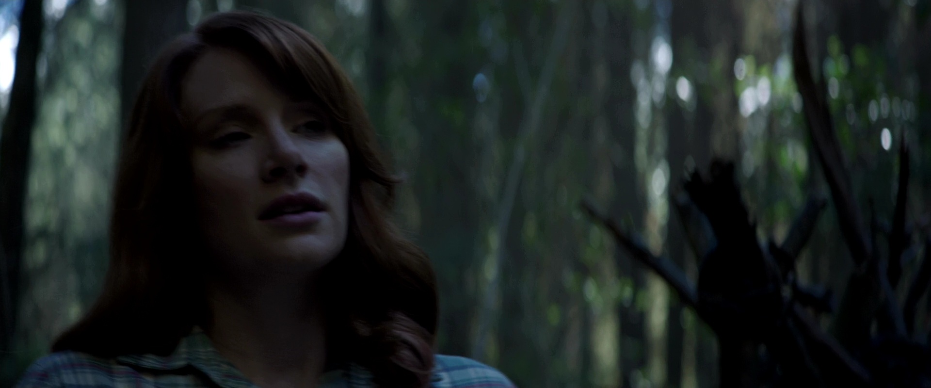 PetesDragon_Captures_0427.jpg
