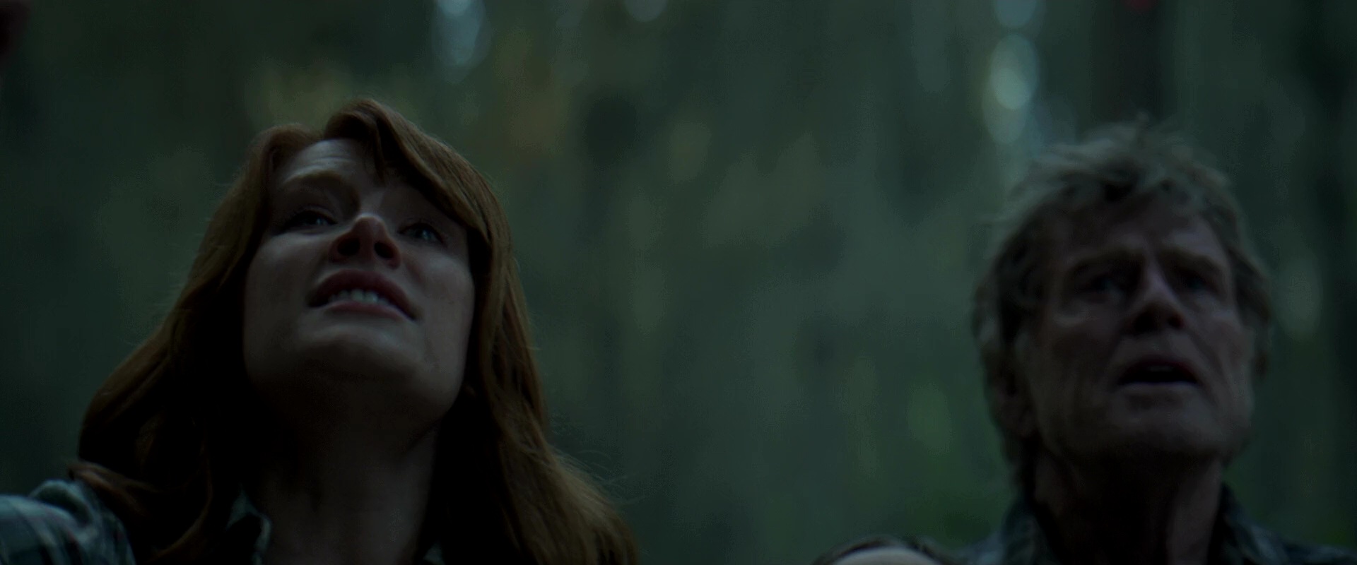PetesDragon_Captures_0458.jpg