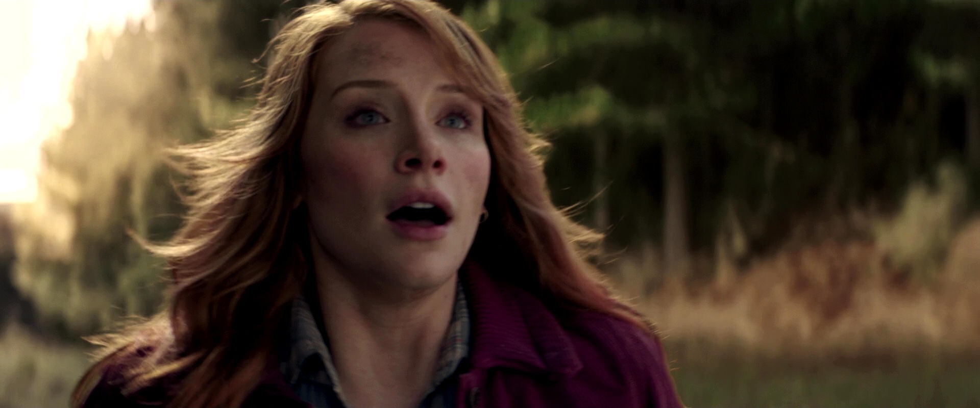 PetesDragon_Captures_0573.jpg