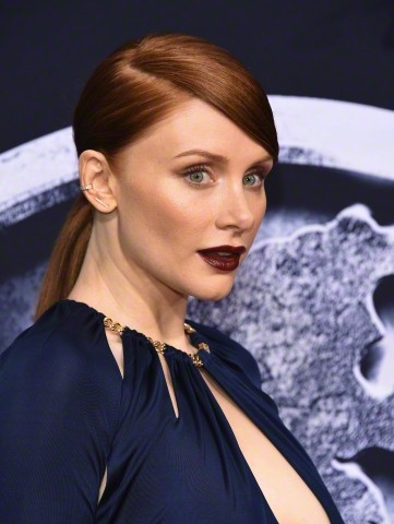 483.jpg