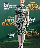 271.jpg